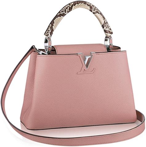 louis vuitton capucines bb euro price|louis vuitton plexiglass bag.